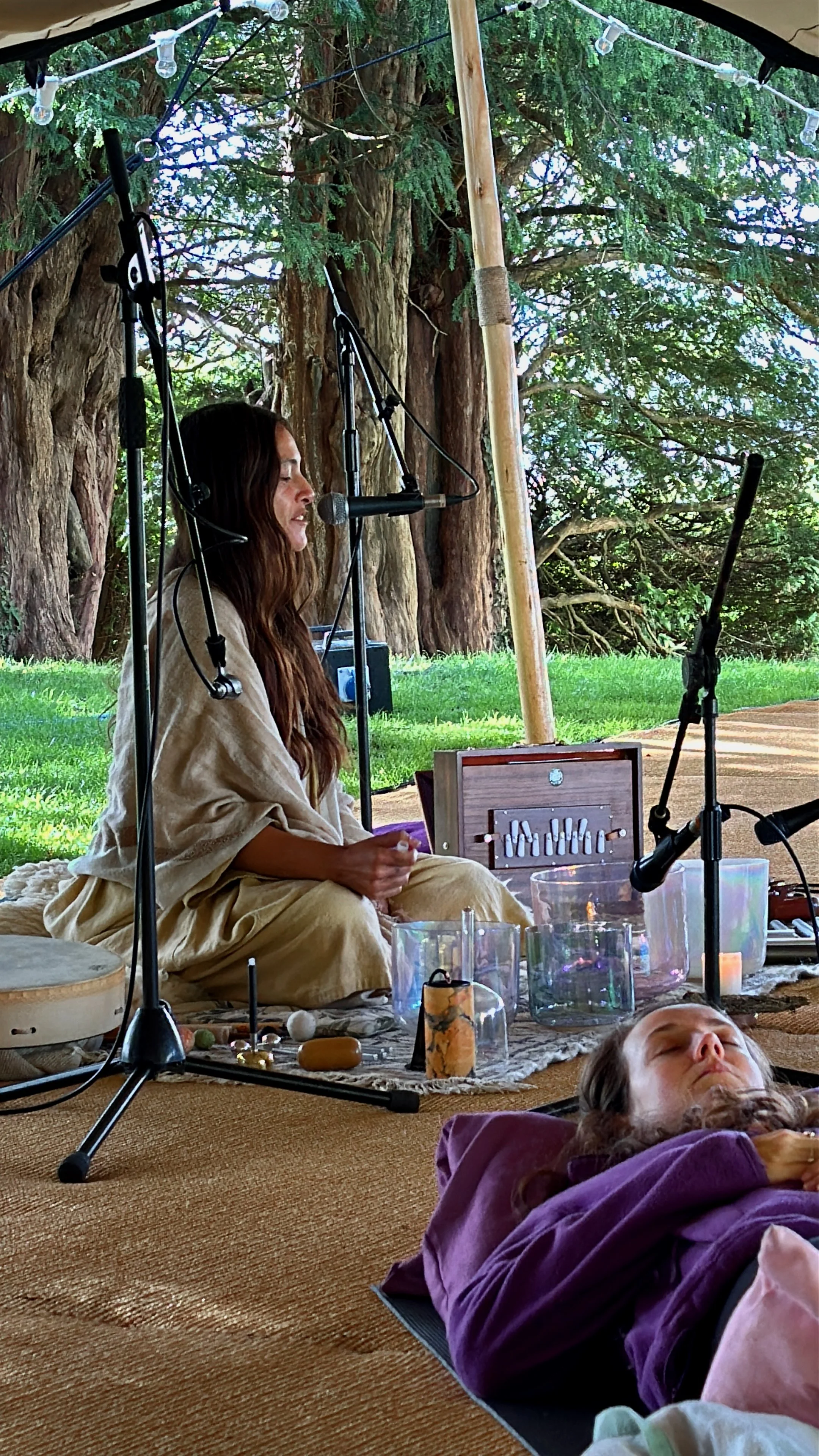 Verve in action 2.jpeg