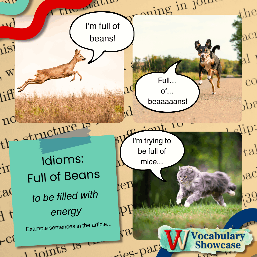 Vocabulary Showcase: Idioms - “Full of Beans”