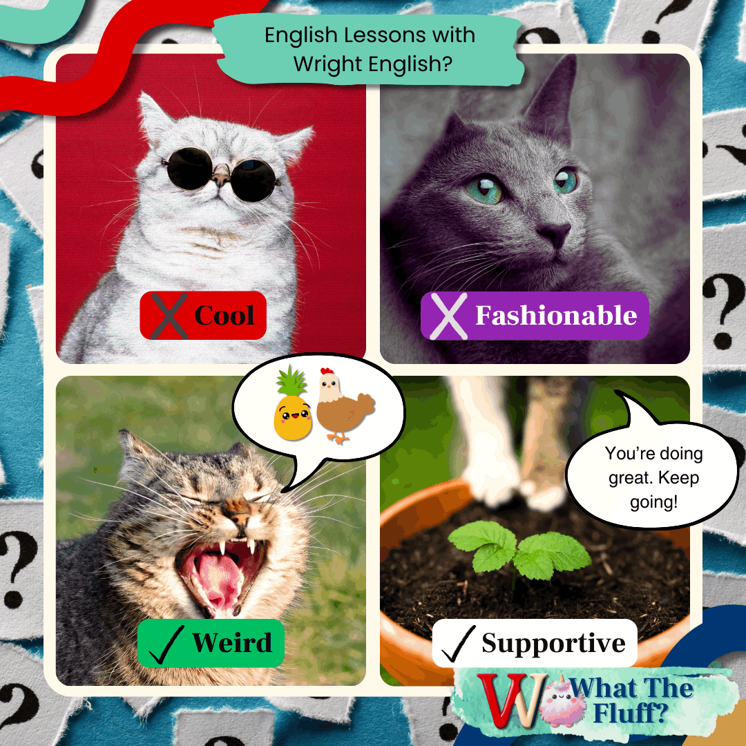 What The Fluff Wednesday: Wright English Lessons - What to Expect