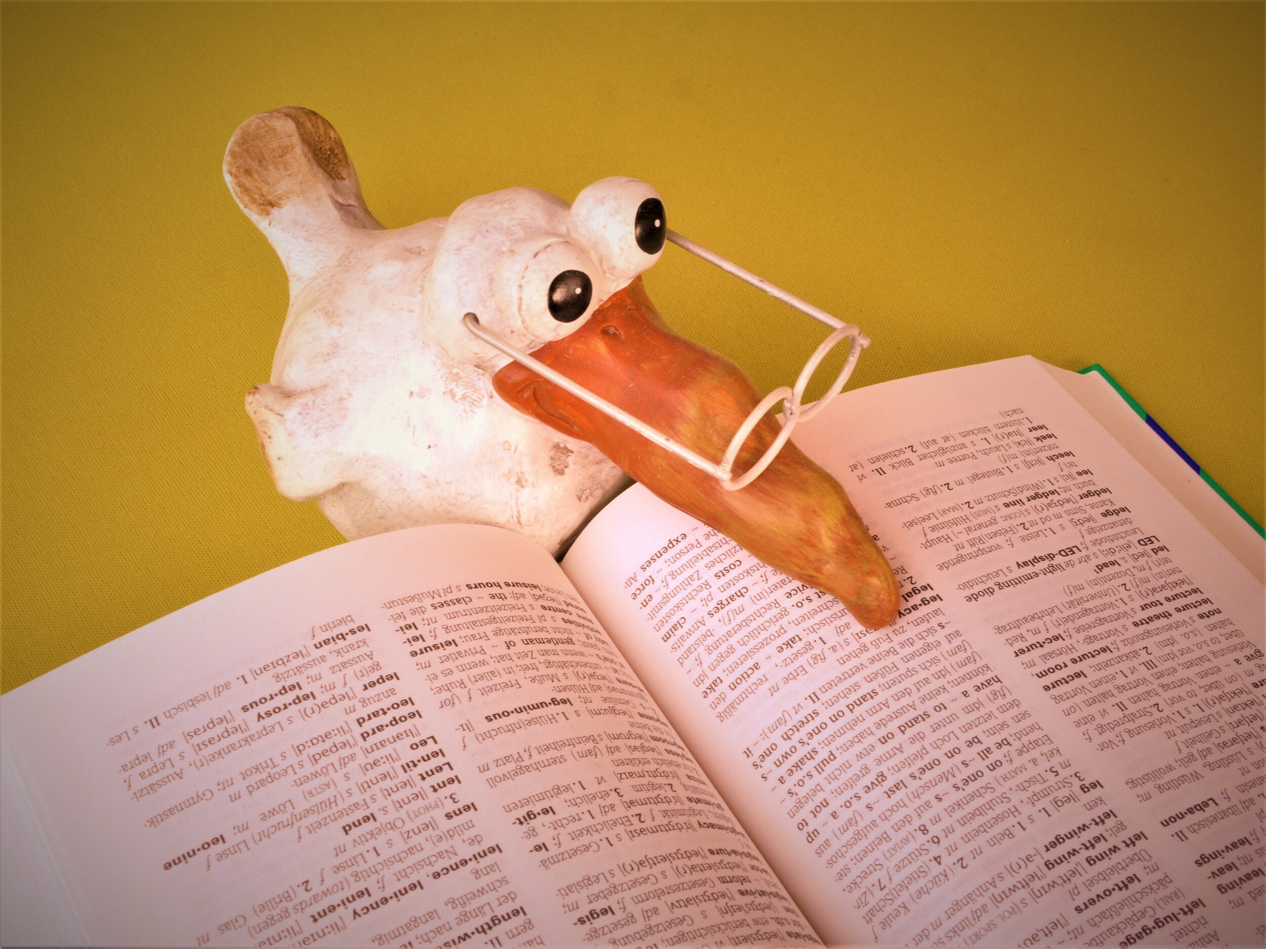 Gateway to Grammar: Spelling Tips for Difficult Words in English