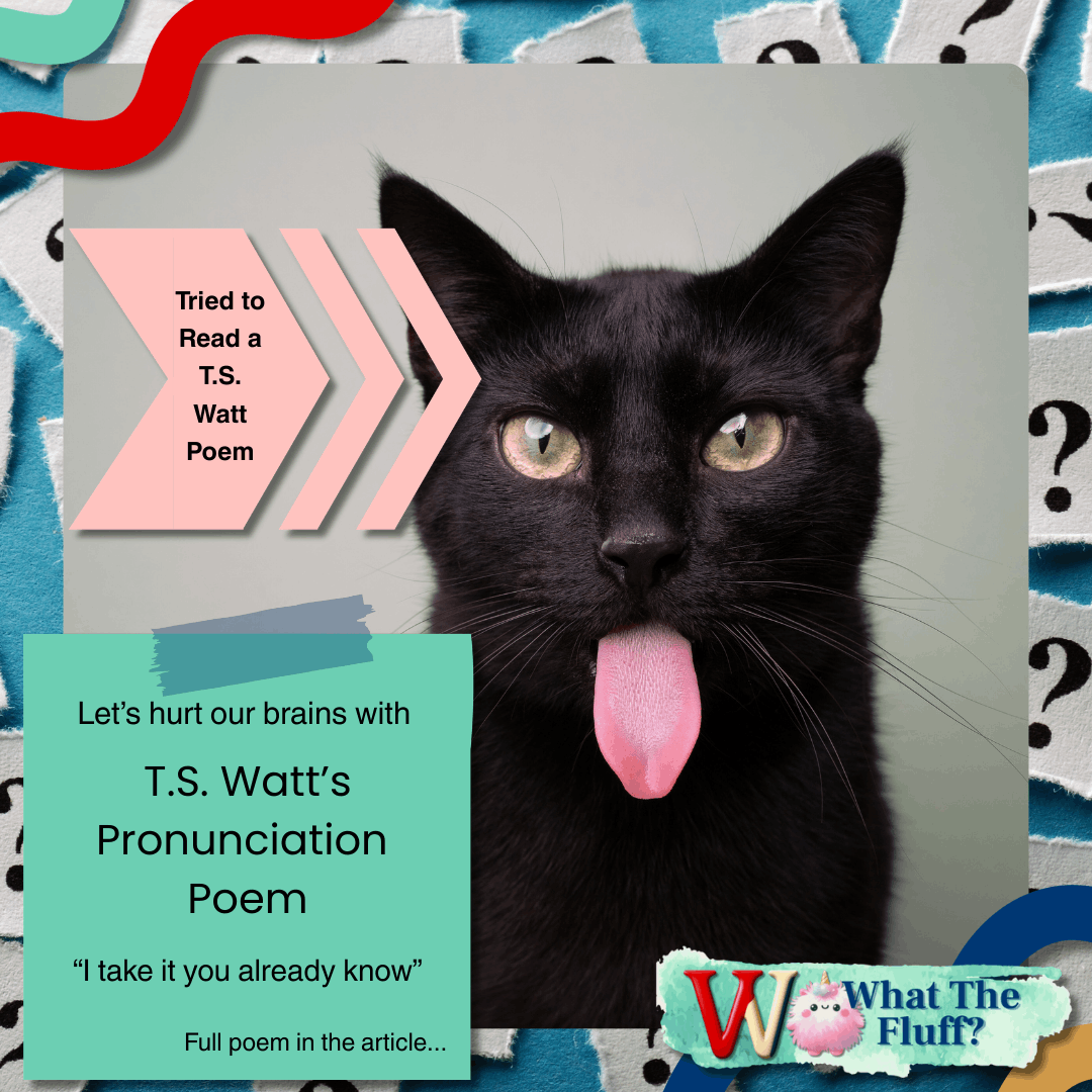 A cat with it's tongue sticking out with an arrowing pointing to it saying "Tired to read a T.S. Watt Poem"