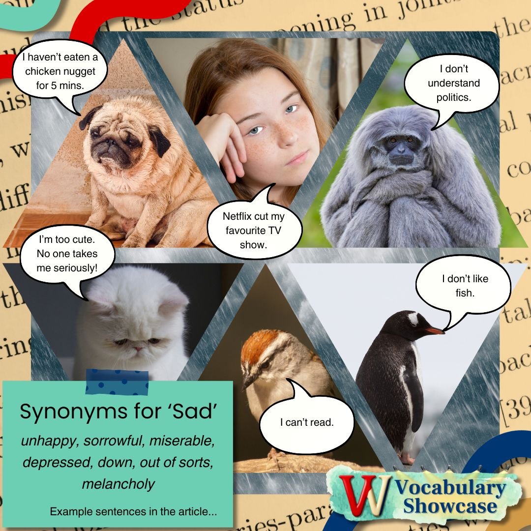 Vocabulary Showcase - Synonyms for ‘Sad’