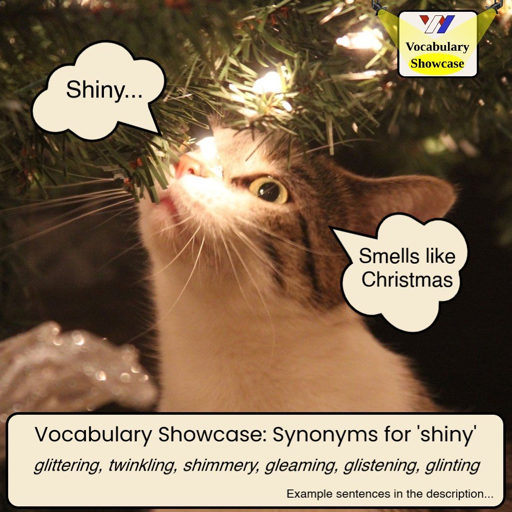 Vocabulary Showcase: Synonyms for ‘Shiny’