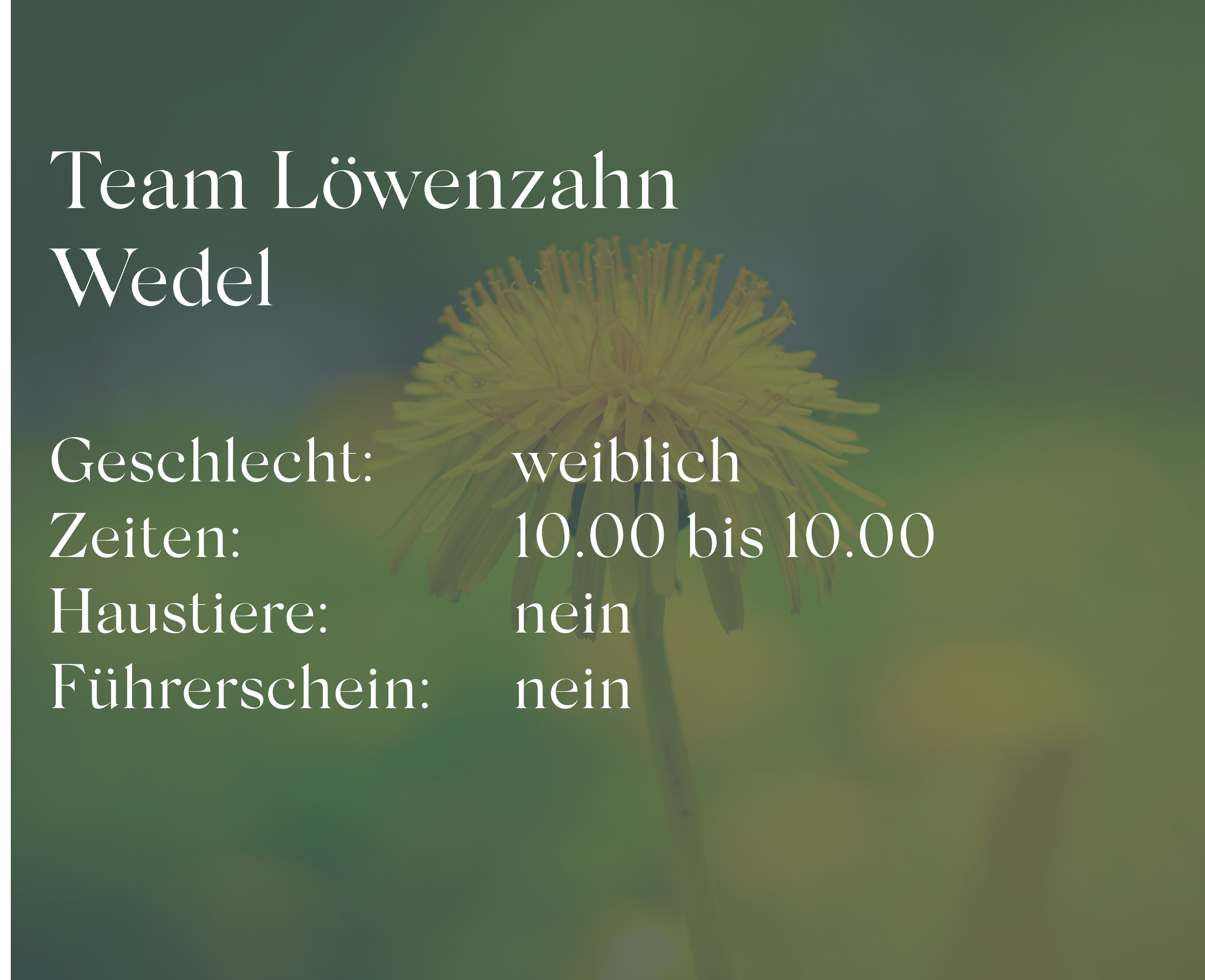 Team Löwenzahn