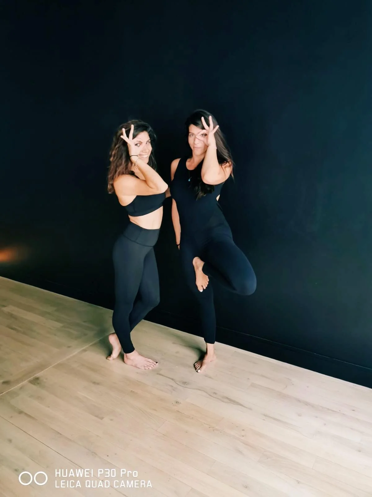 WHY YOGA - Les mudras