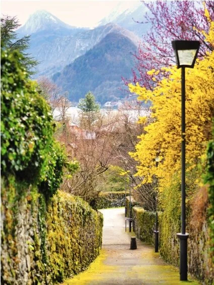 Annecy - Mars 2021