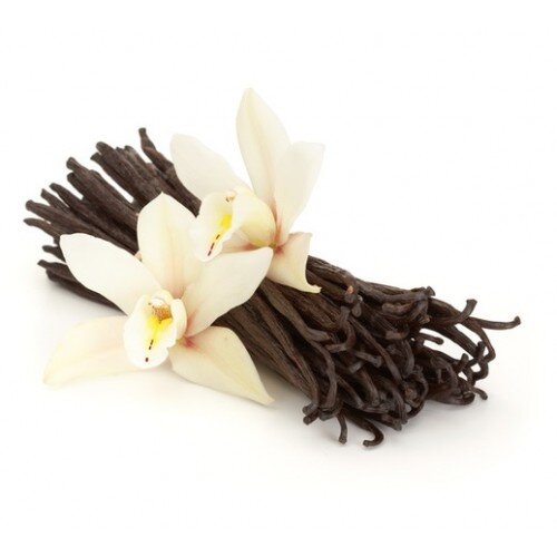 Vanilla-Bean-and-Orchid-500x500.jpg