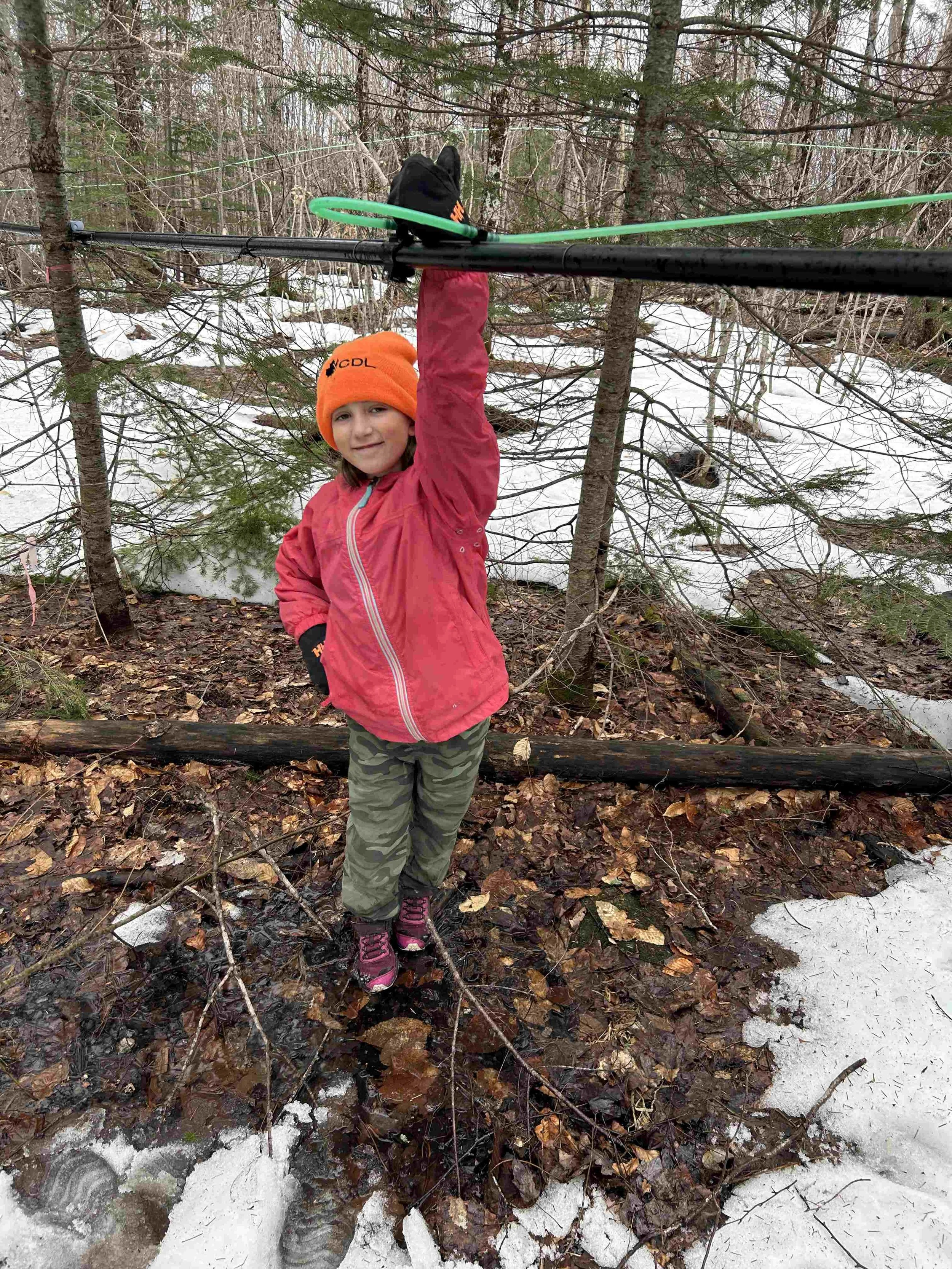 Our duaghter checking maple sap tubing at our family owned and operated maple business.