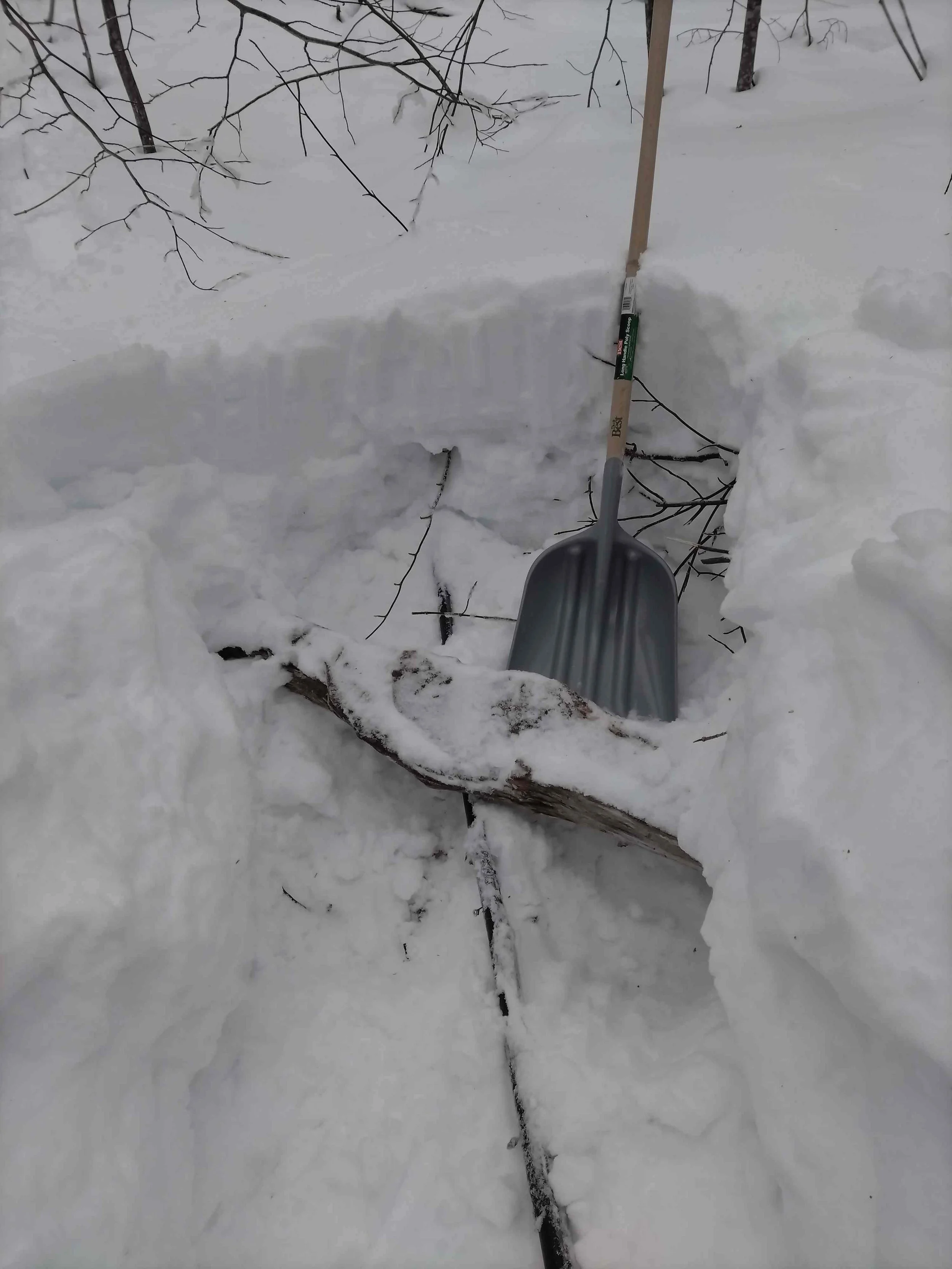 Our high elevation foret is har to work in. Here we are digging out a sap line buried in 4 feet of snow.