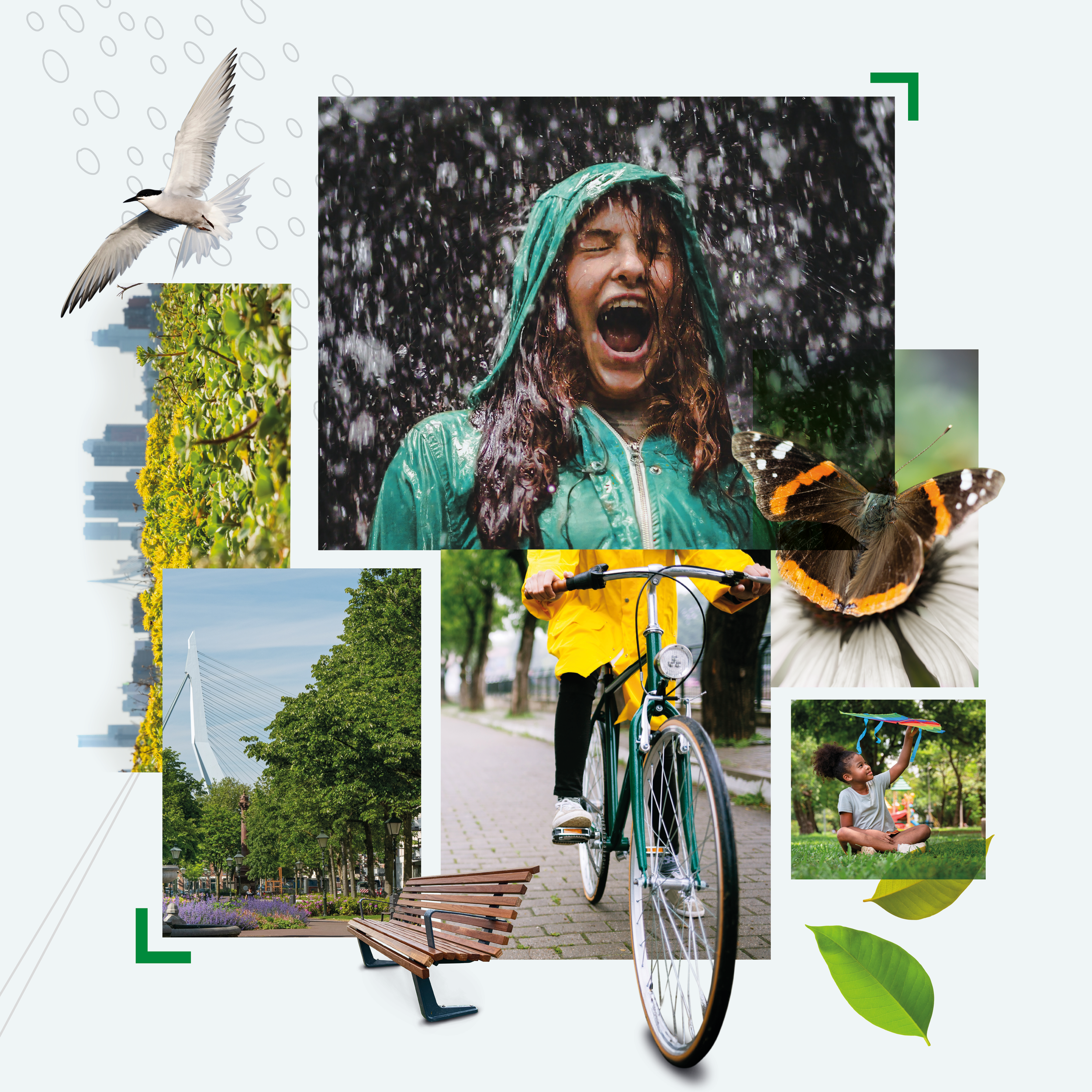 Groen Agenda Rotterdam