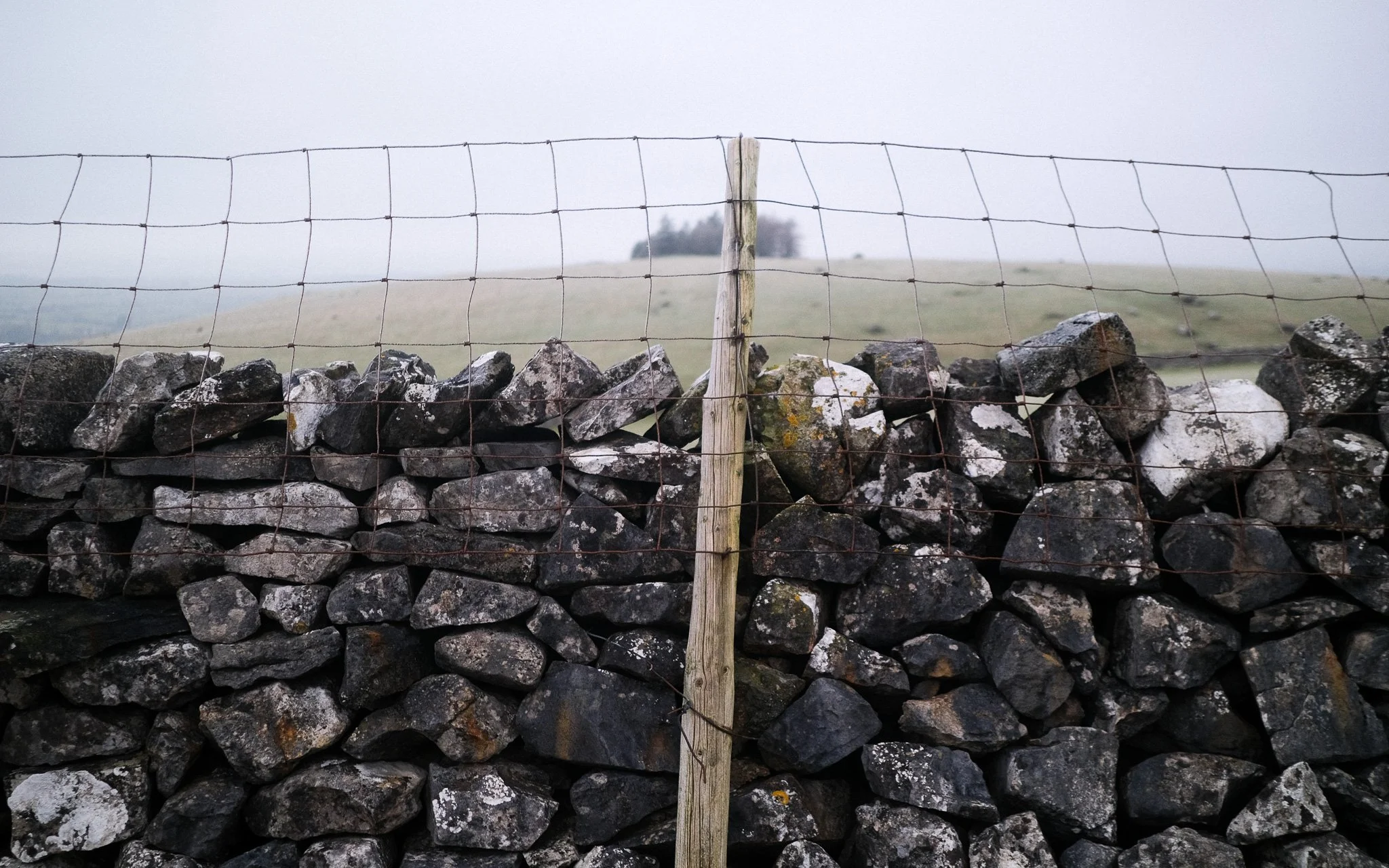 DSCF8862-2.jpg