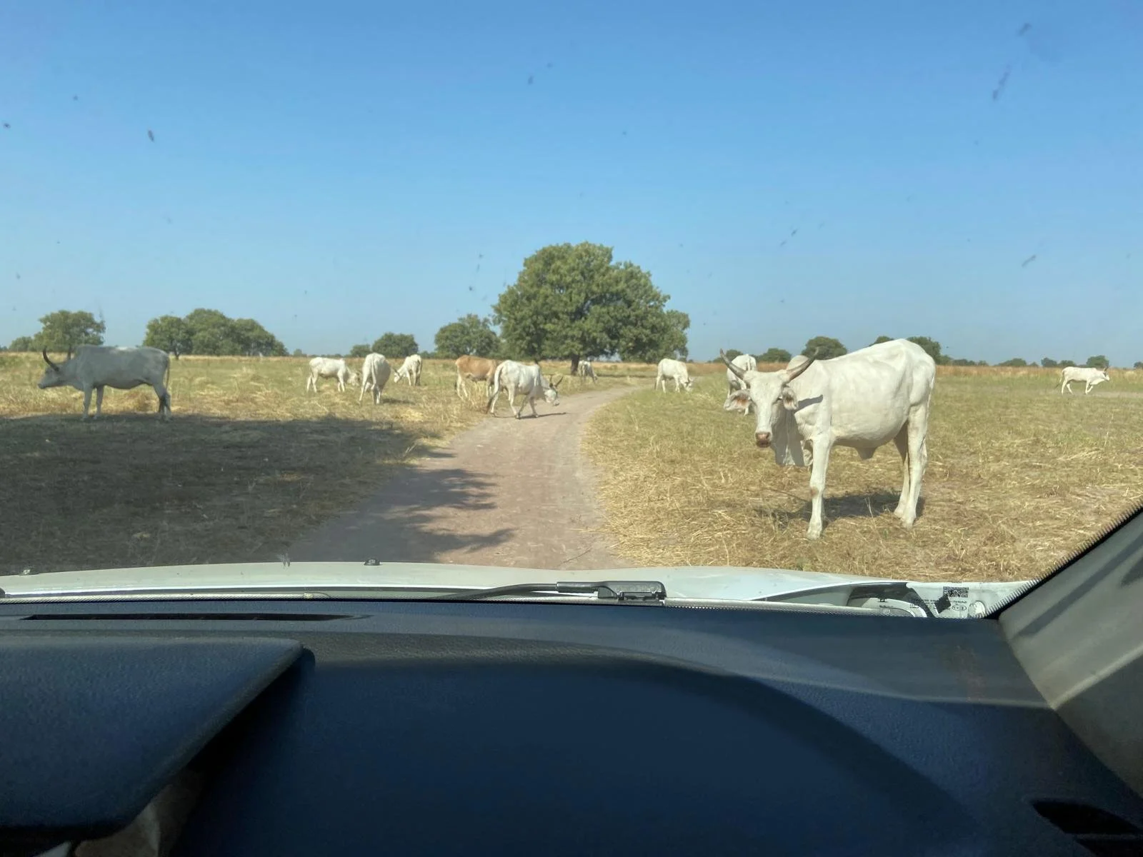 Nov.2024 School Visit 6.jpeg