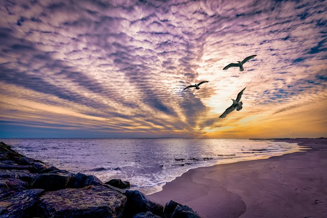 Things To Do on Long Island, NY (August 1 - August 7, 2025)