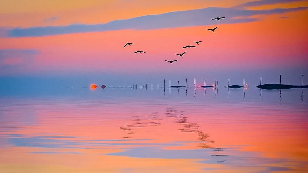 Things To Do on Long Island, NY (December 12 - December 18, 2025)