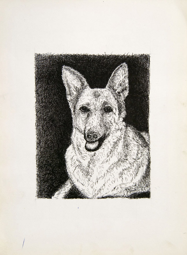 17, 25 januari 1970, Siep, de herdershond.jpg