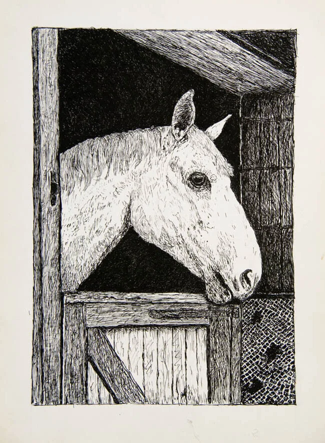 29, Het witte paard, 5 maart 1970.jpg