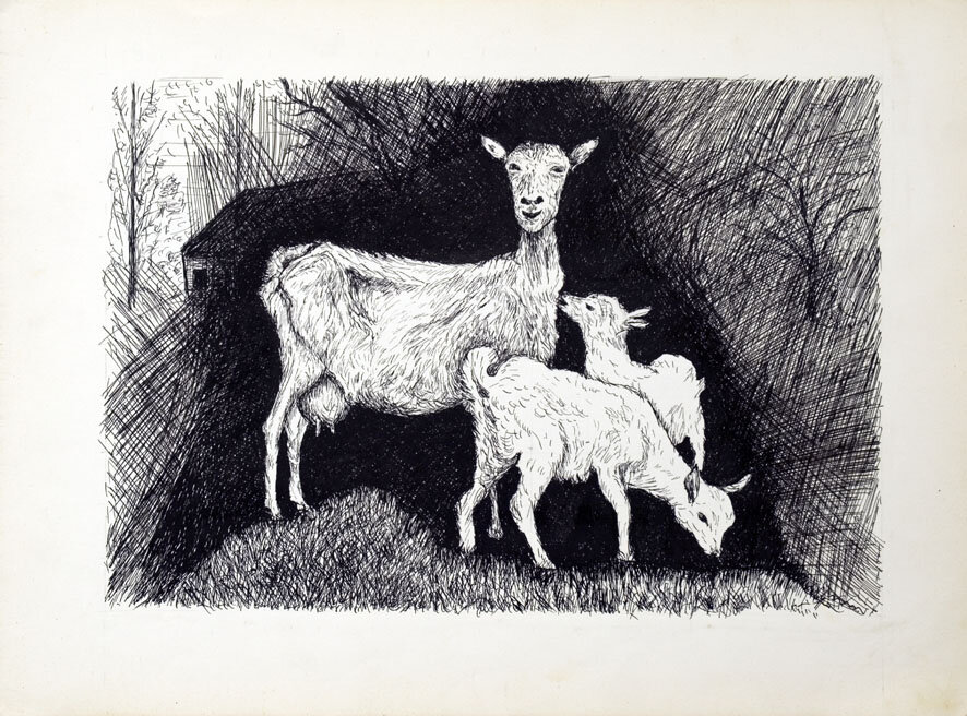 68, 19 augustus 1970, Geiten.jpg