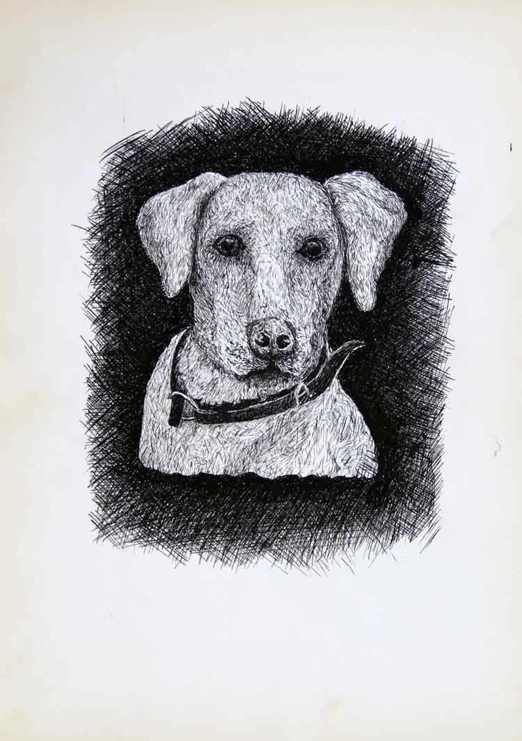 94, 9 december 1970, Dolf de speurder.jpg