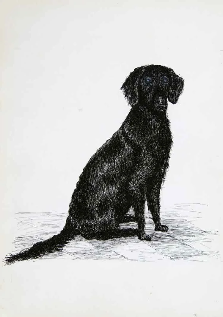 112, 2 maart 1970, Boy.jpg