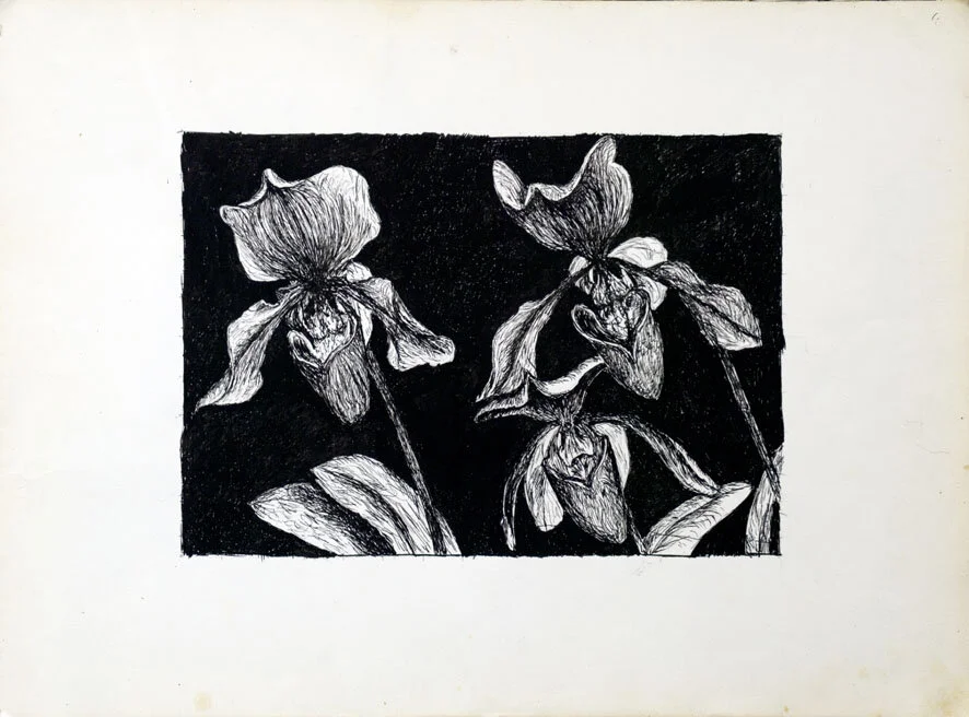 147, 15 augustus 1971, orchideeen.jpg