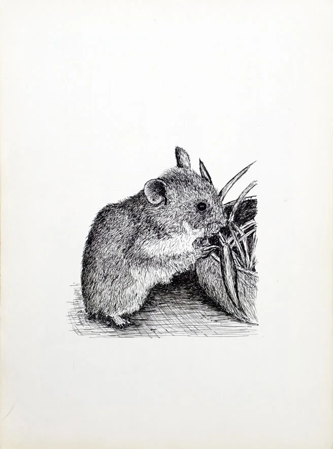 170, 26 november 1971, Hamstertje.jpg