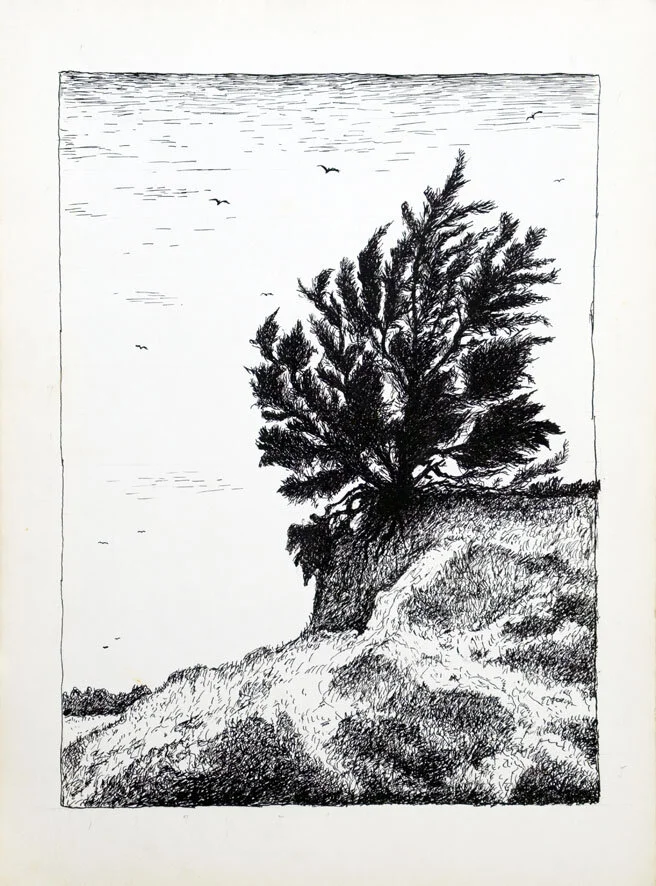 172, 8 december 1971, de Vliegden.jpg