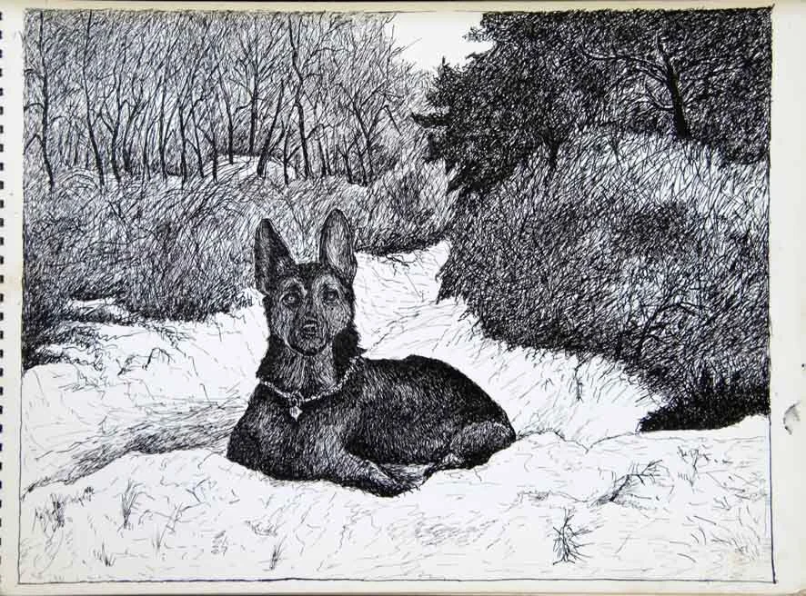 178, 6 januari 1972, Bewaakt winterbos.jpg