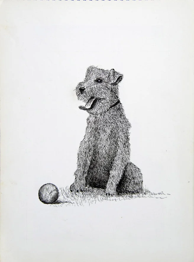 204, 24 april 1972, Snuffeltje.jpg