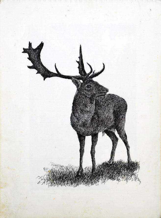229, 6 september 1972, Hert.jpg