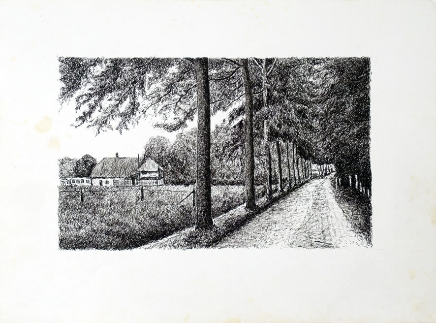 256, 29 januari 1973, Landweg bij Doorn.jpg
