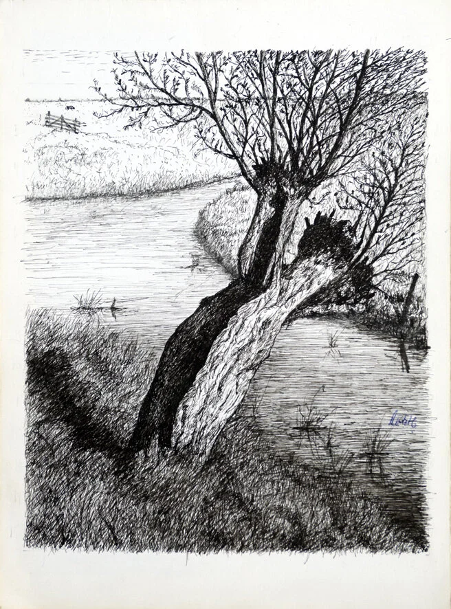 274, 10 mei 1973, Oude Knotwilg.jpg