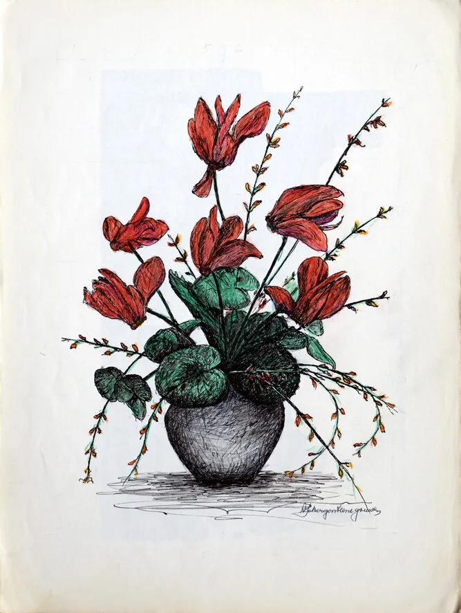 323, 27 mei 1974, Cyclamen persicum.jpg