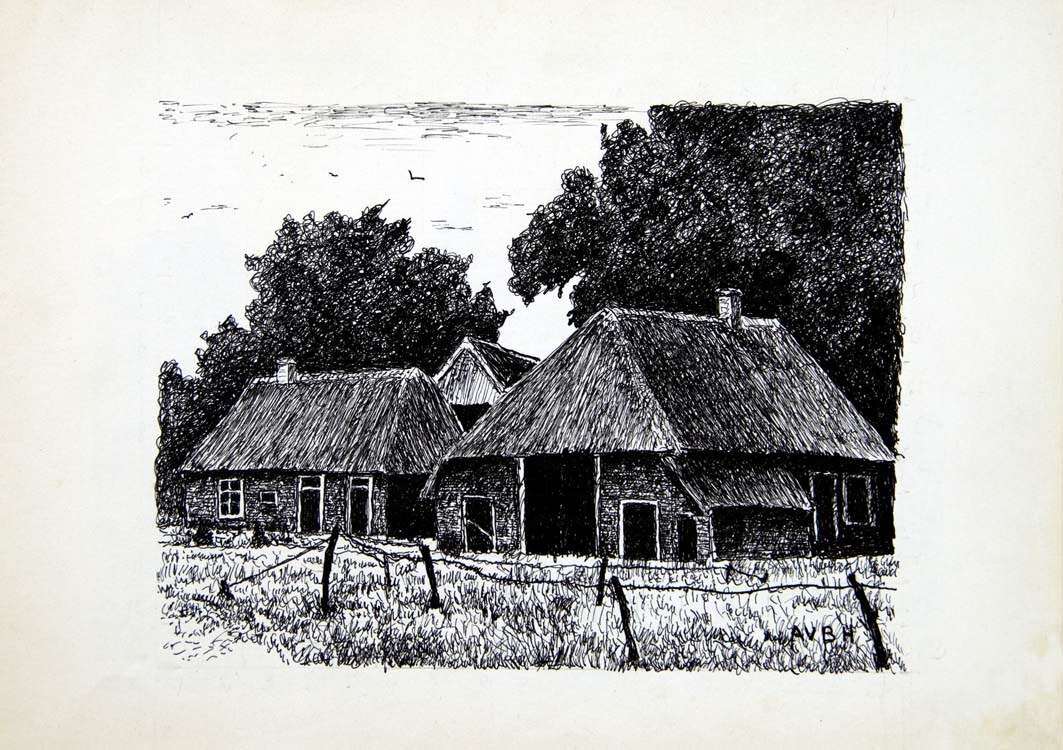 481, 2 juni 1978, Rustig hoekje in Drente.jpg