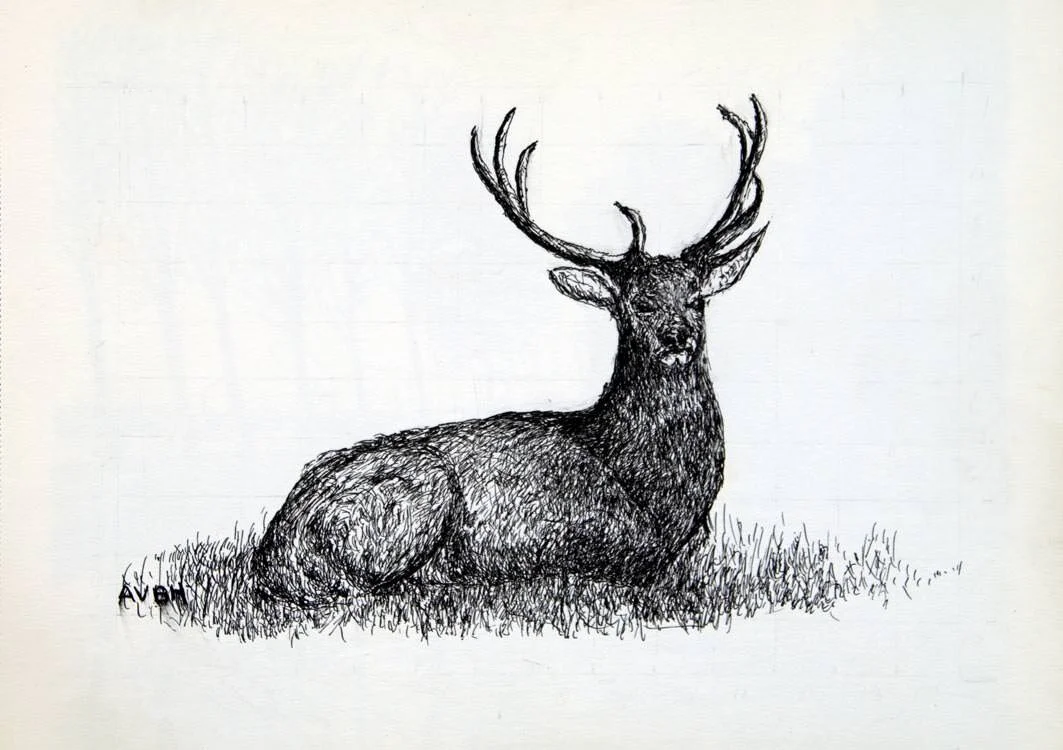 569, 12 februari 1981, Hert.jpg