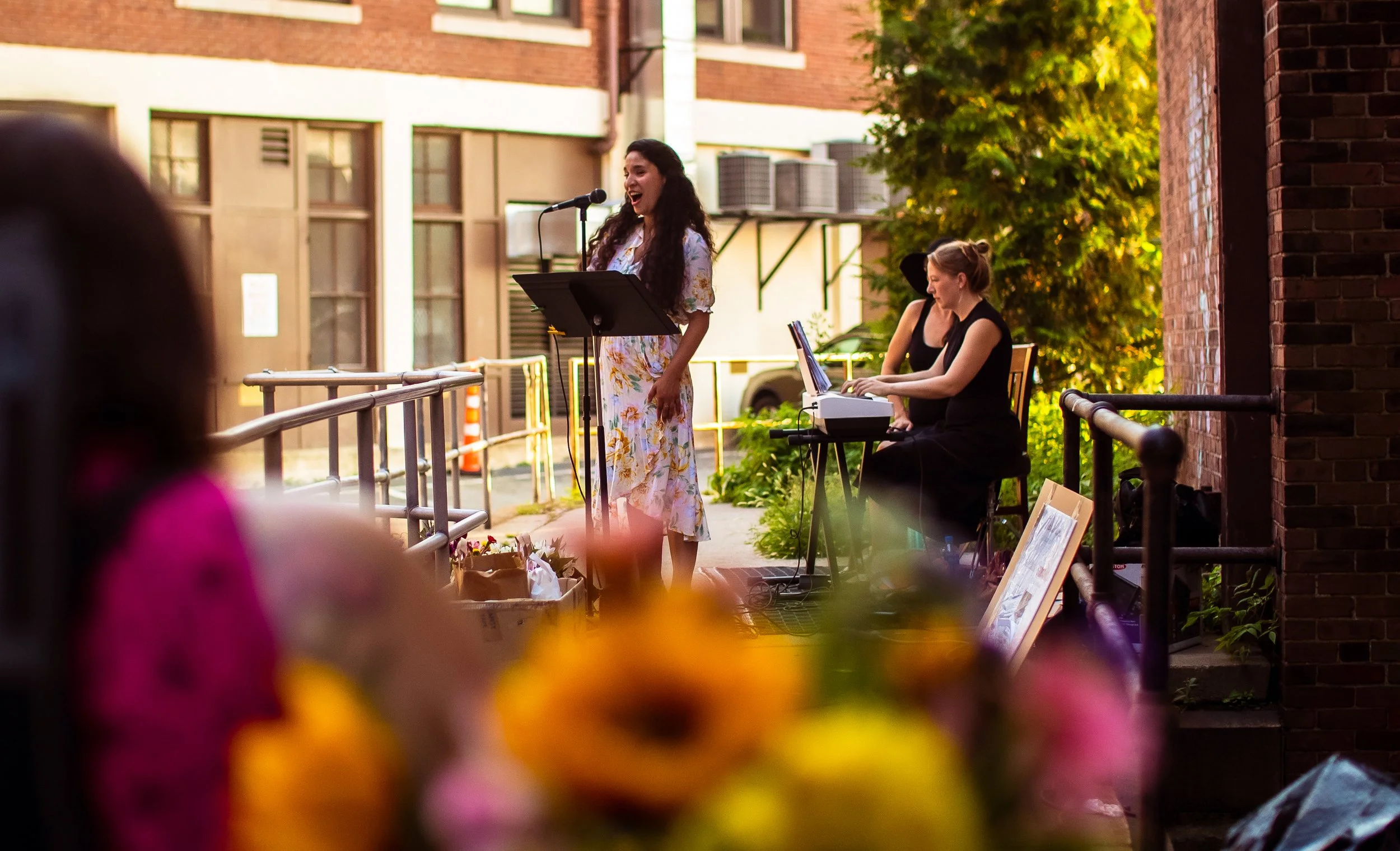 Brookline Arts Festival