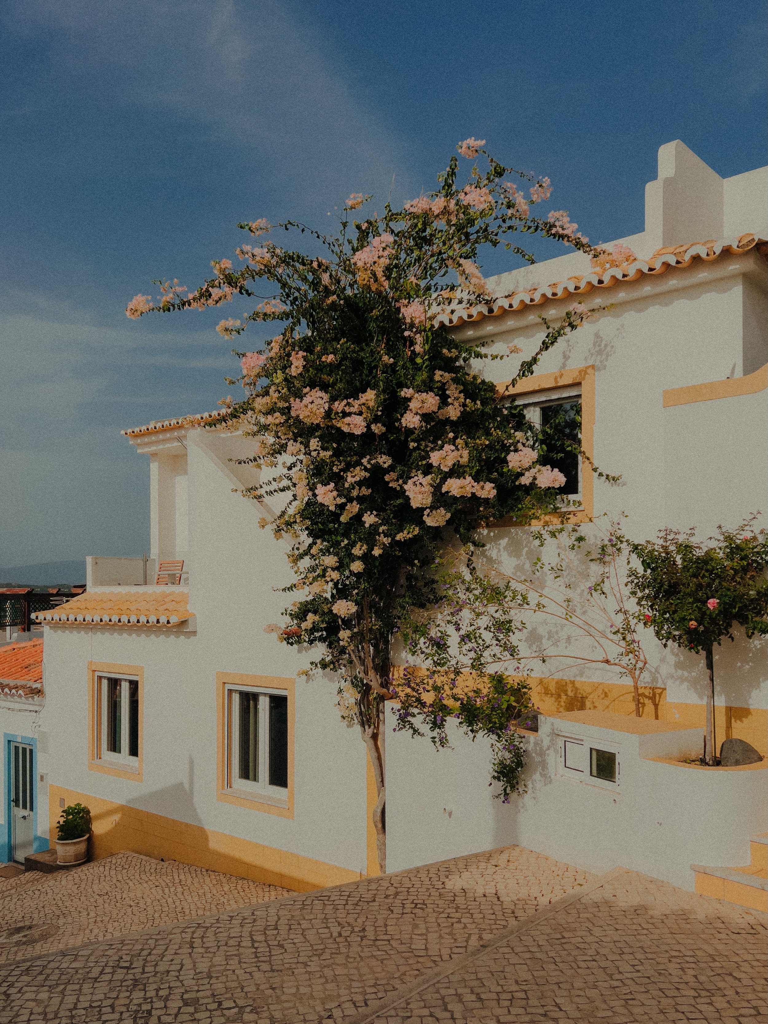 Kodak Gold 200 Preset for Lightroom Mobile