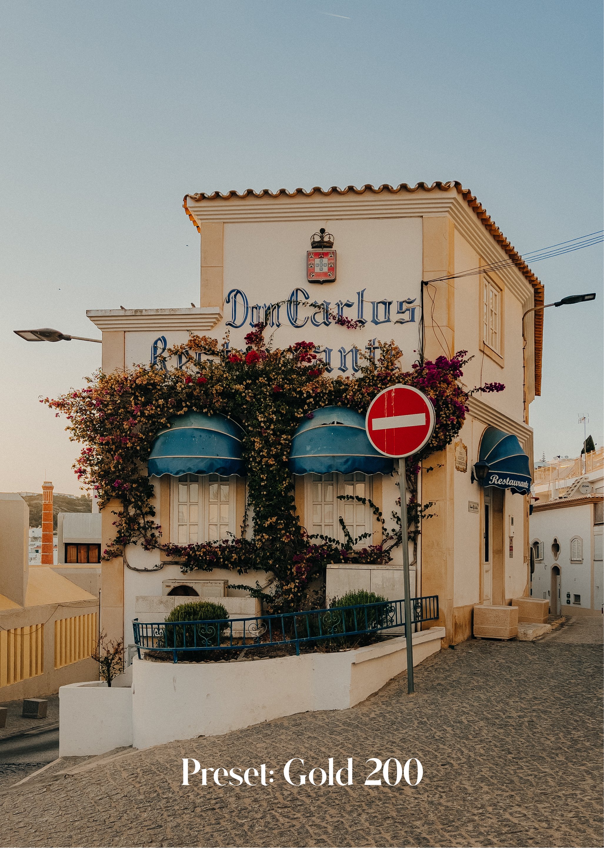 Kodak Presets Bundle for Lightroom Mobile - Portra 400, Portra 800, Gold 120