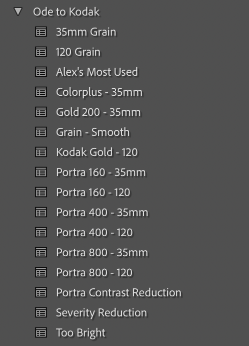 Kodak Presets Bundle for Lightroom Mobile - Portra 400, Portra 800, Gold 120