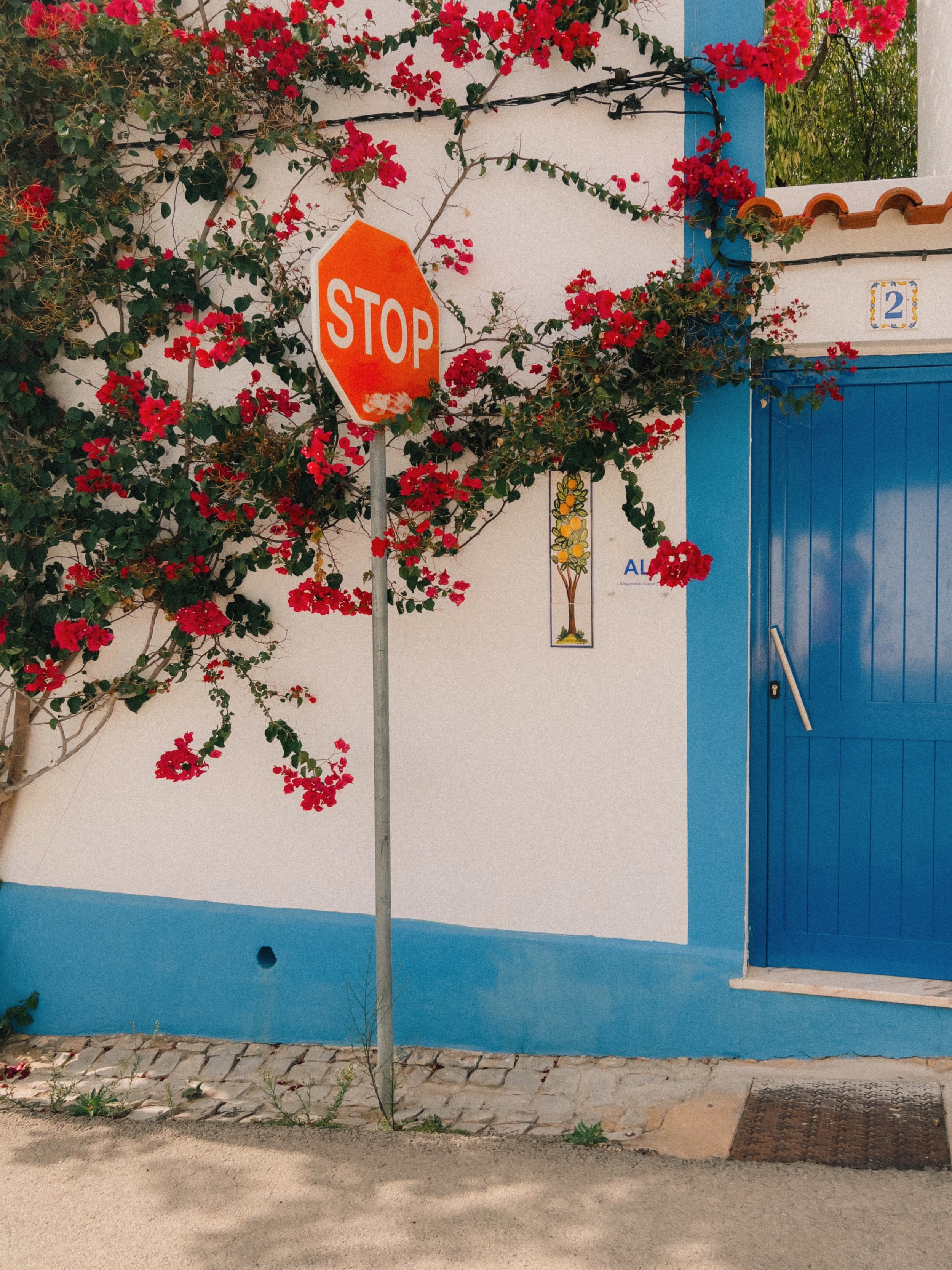 Kodak Gold 200 Preset for Lightroom and Photoshop
