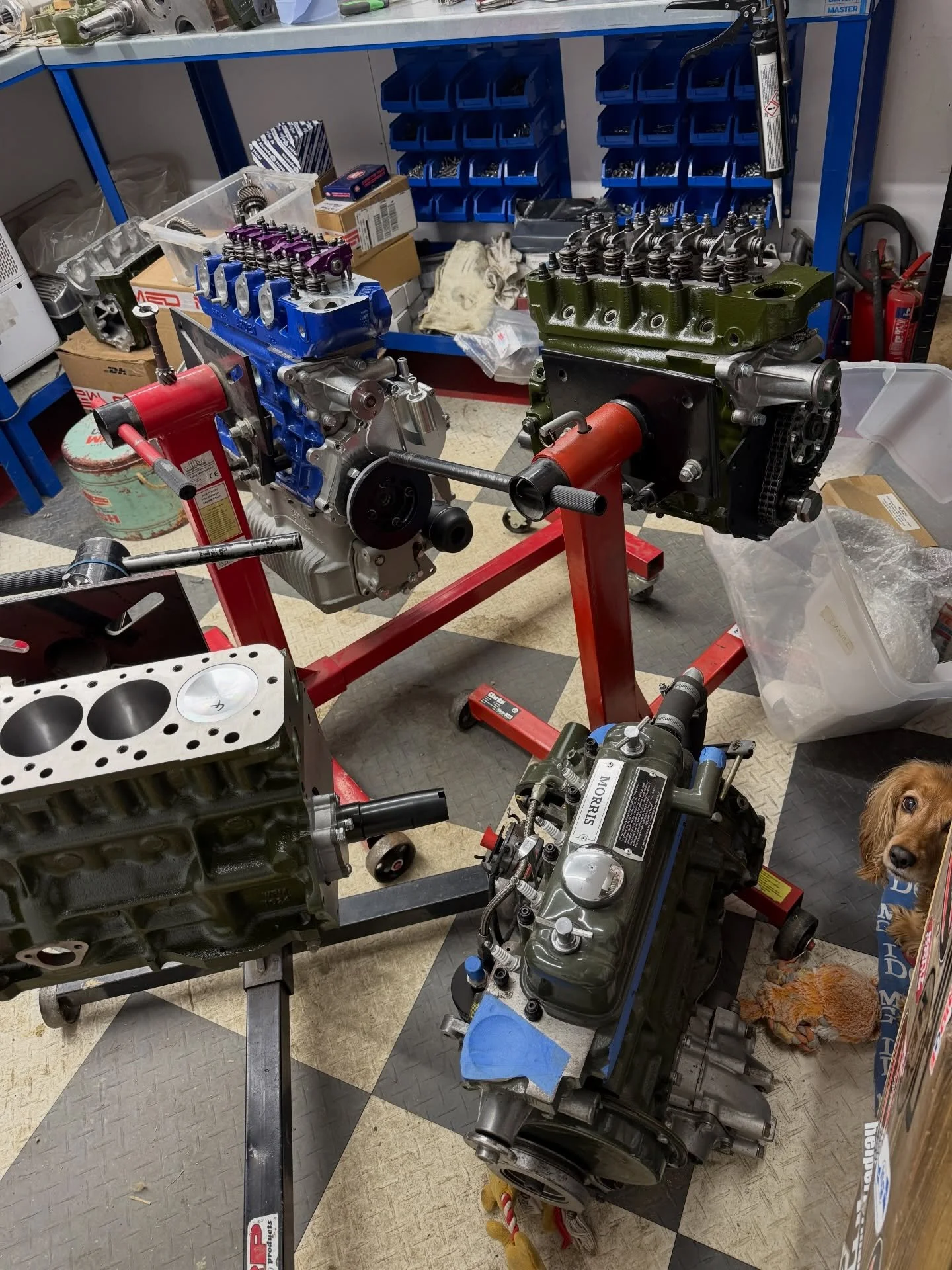 No room to move 😩 Even little old Luna is shoehorned away 😅 So lucky todo what I do, absolutely love it!! #workshop #dog #minis #classiccars #retro