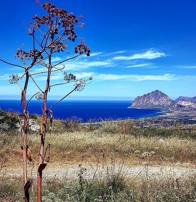 L'incantevole vista sul Monte Cofano...
.
.
.
&Egrave; tempo di vacanza.....🏖🌻👙☀️
#FATEVISALIRELAVOGLIA 
#bebpolveredistelle #relax #campagna #isolatiaprescindere #montecofano #calette #cristalline