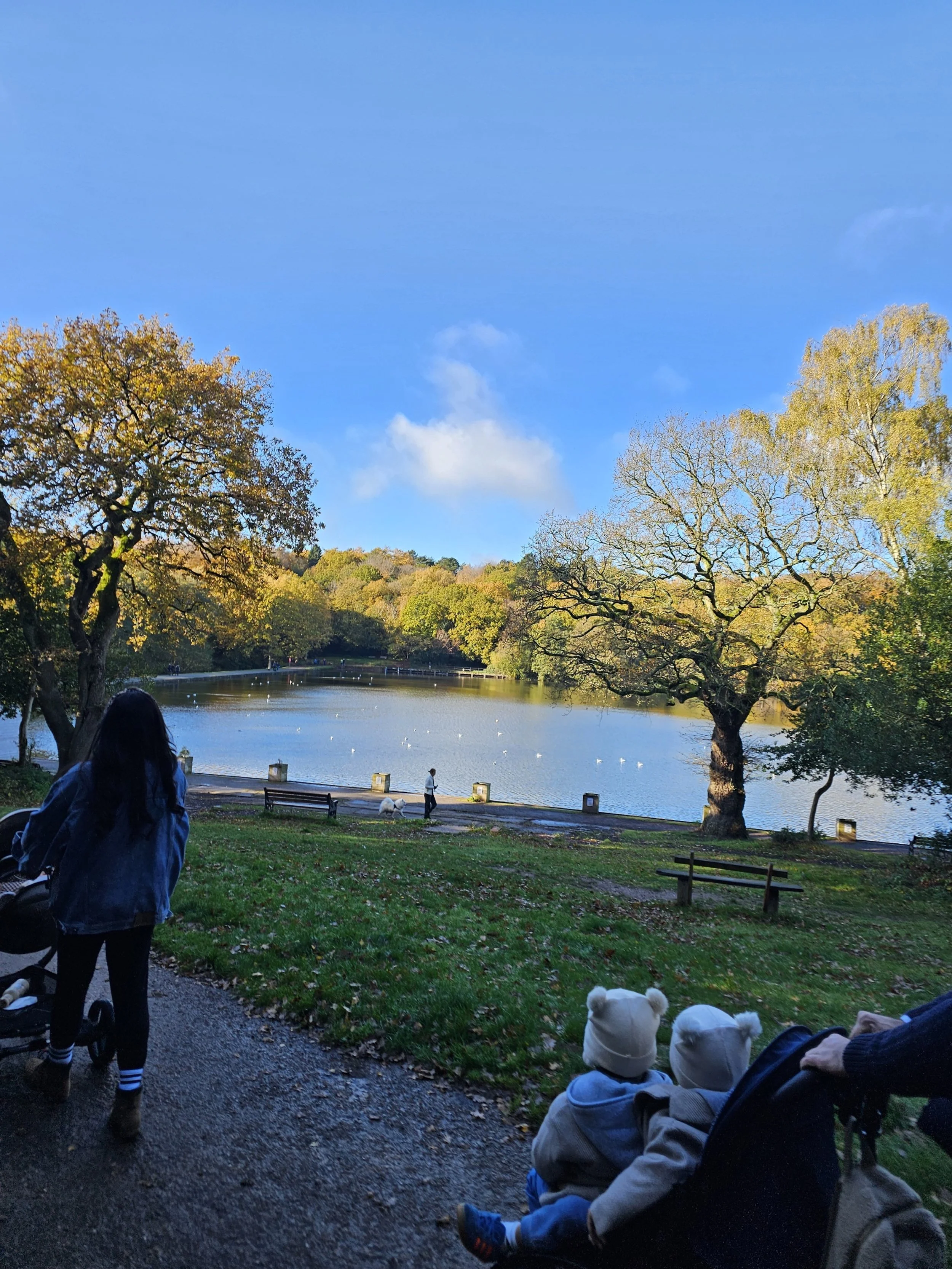 Children in prams looking out to the lake