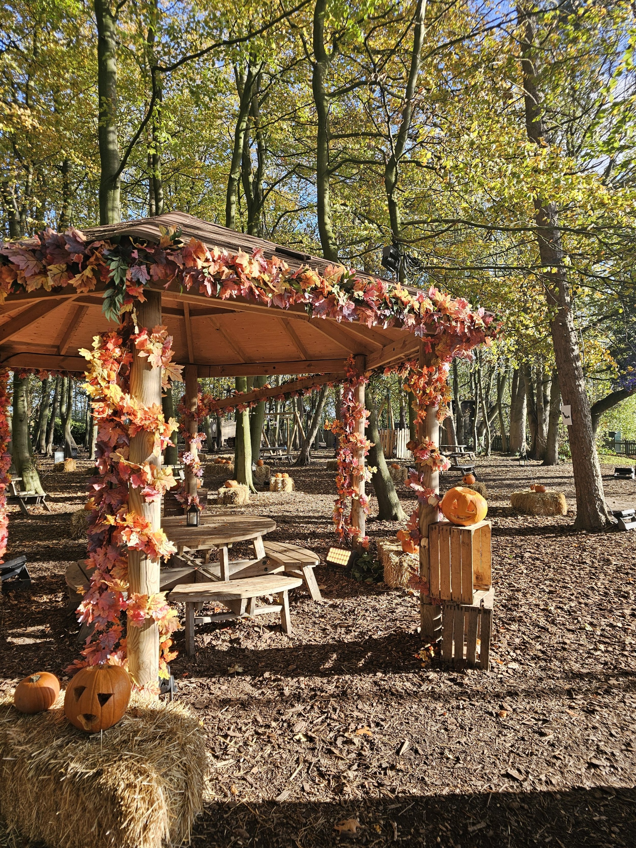Halloween decor in a forest