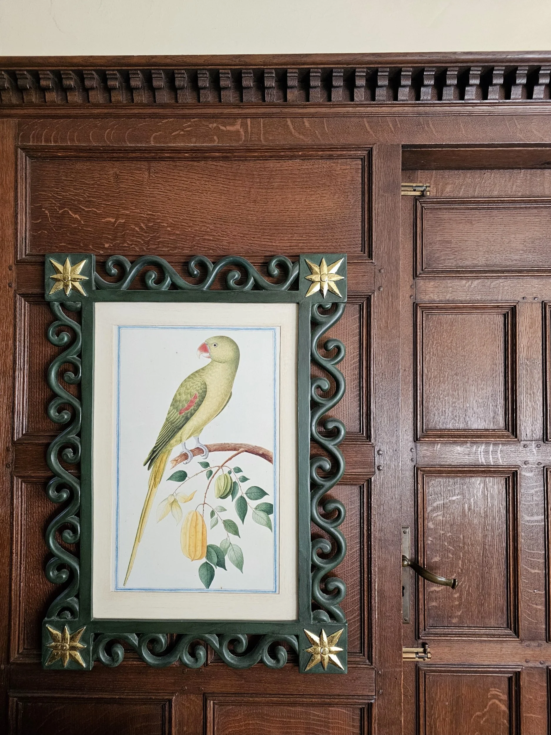 Parrot painting on wall