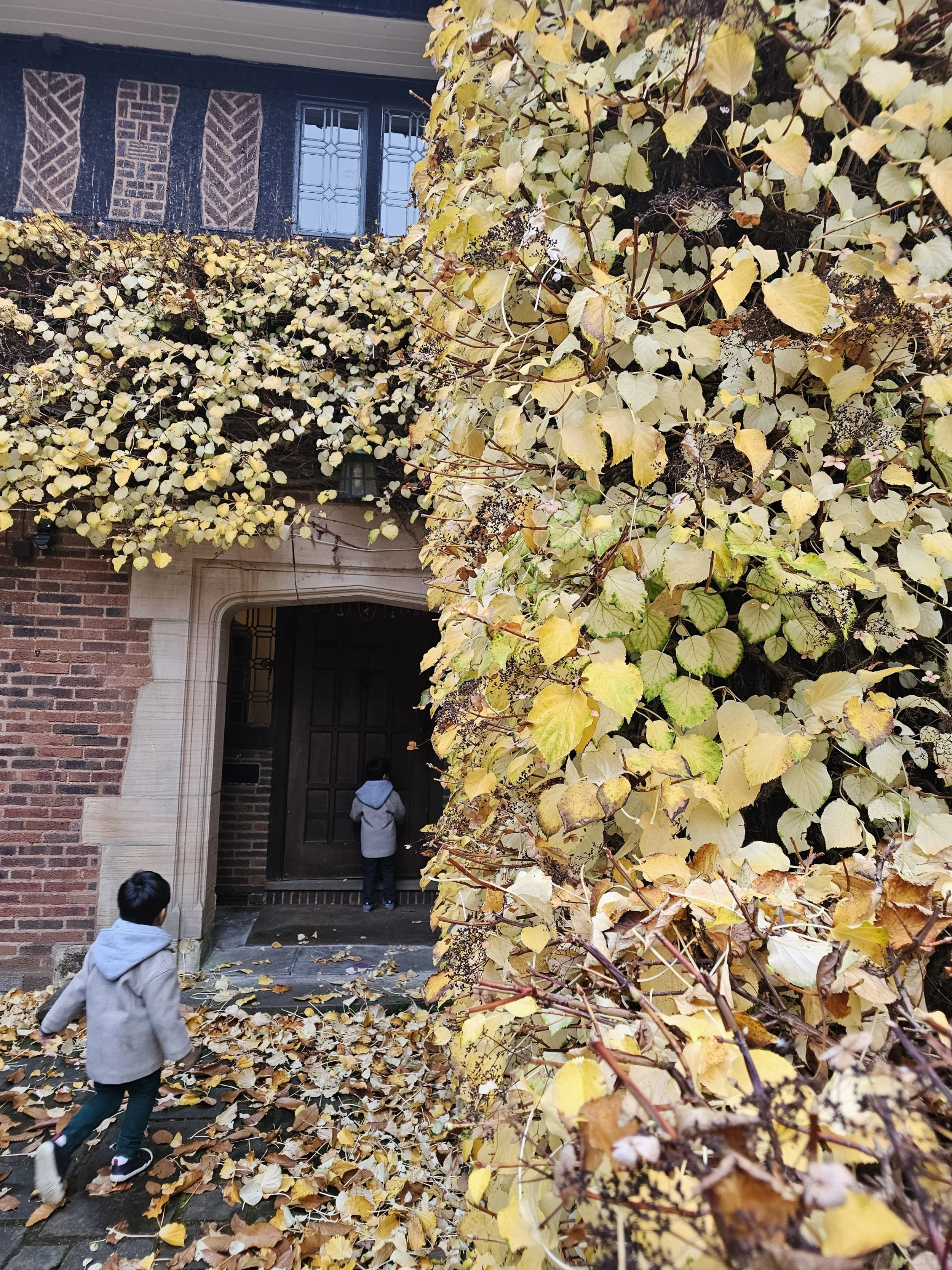 Toddlers walking into a house