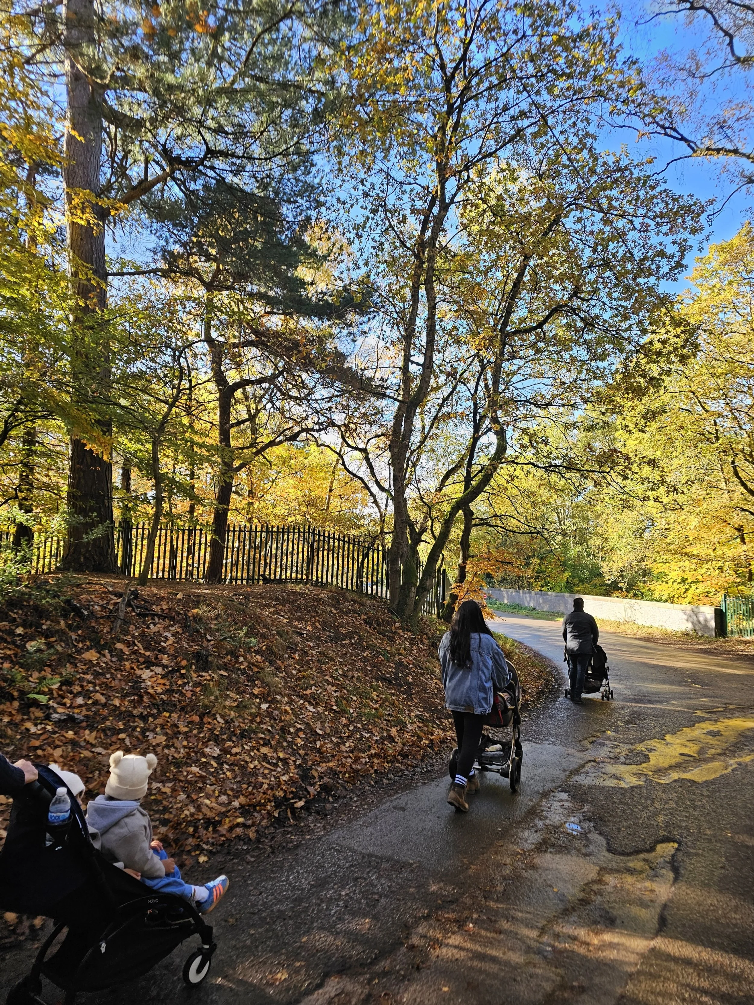 Parents pushing their children in prams against Autumn back drop