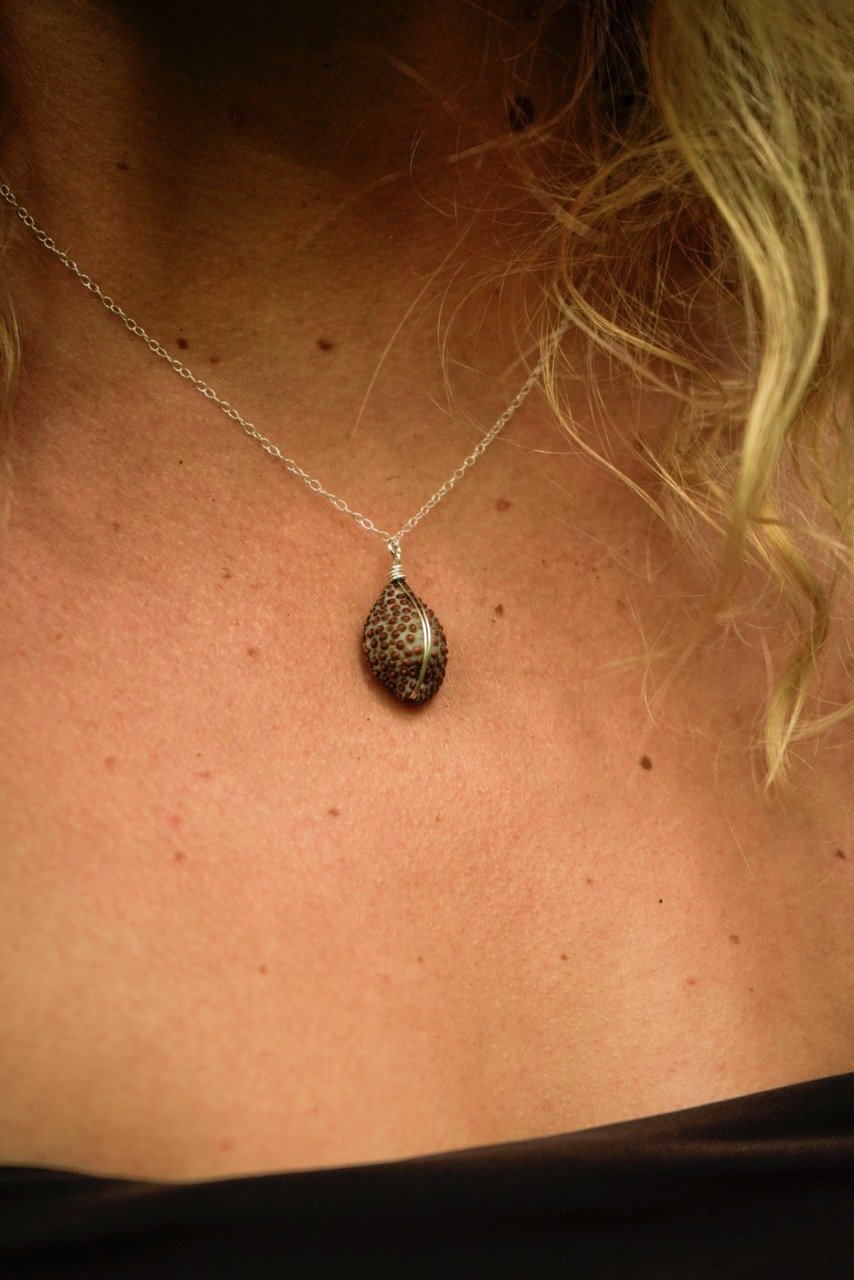 stingbling2 holalenita-158 Large.jpeg