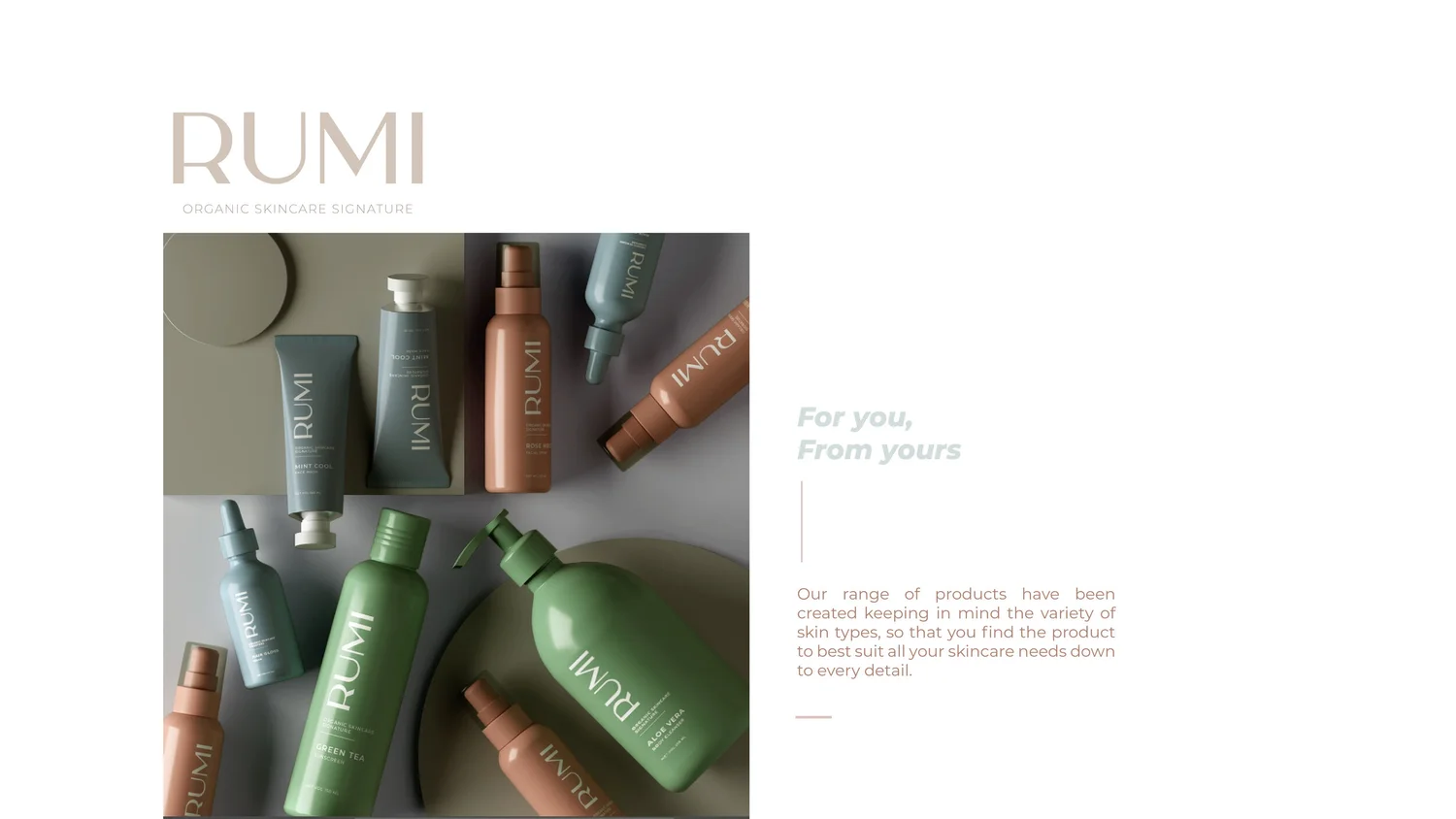 Designes By Rumi Rumi | Branding & Packaging Design — The Turtle Story | Branding and ...