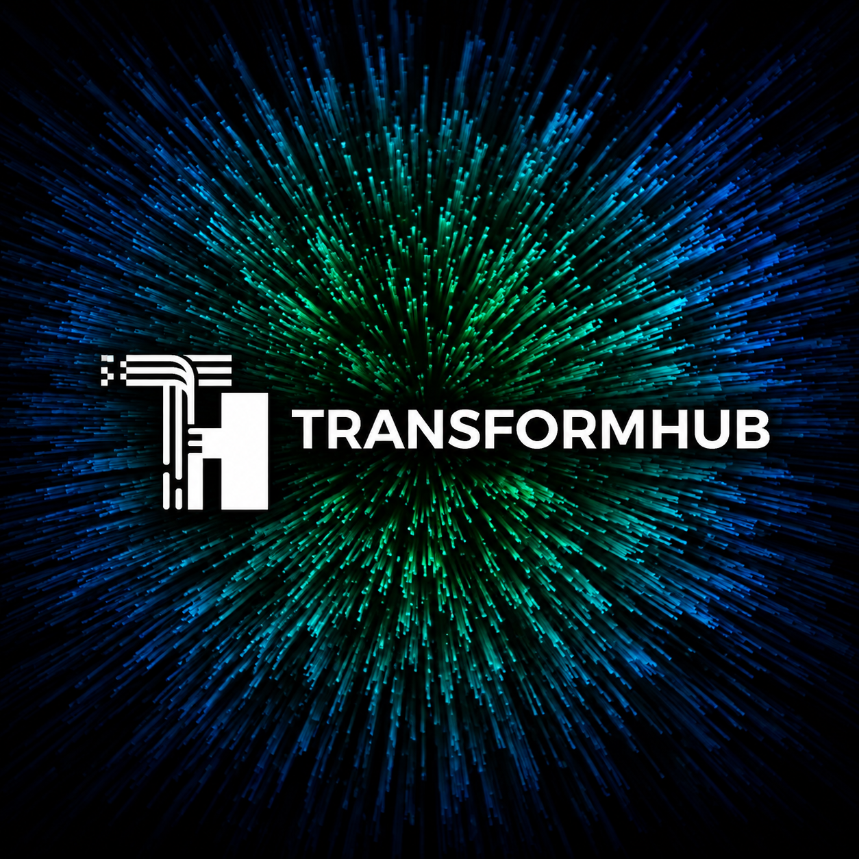 Transform Hub | Brand Profile & Pitch Deck