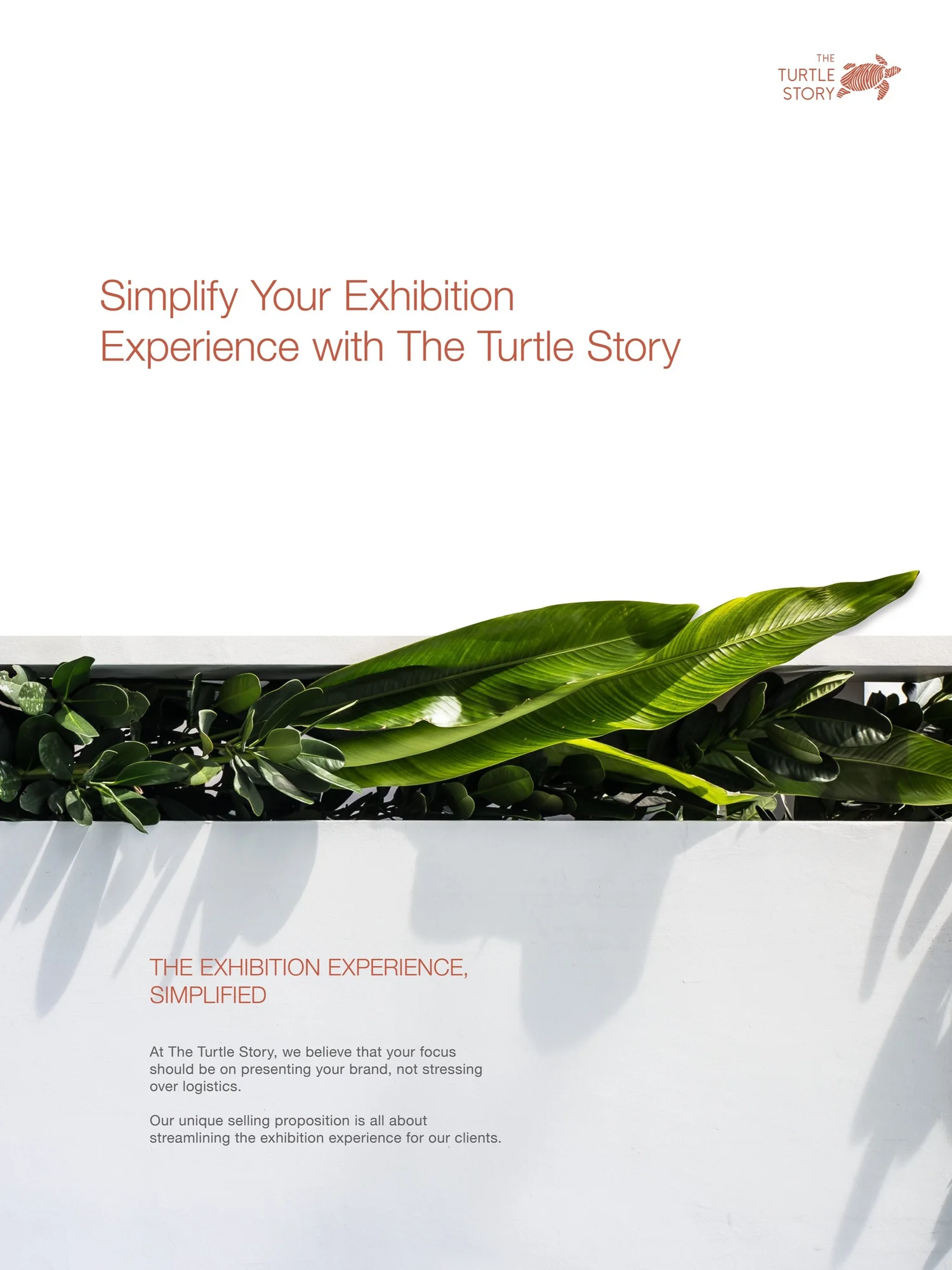 JCK 2024 PACKAGES — The Turtle Story Branding and Packaging Design in